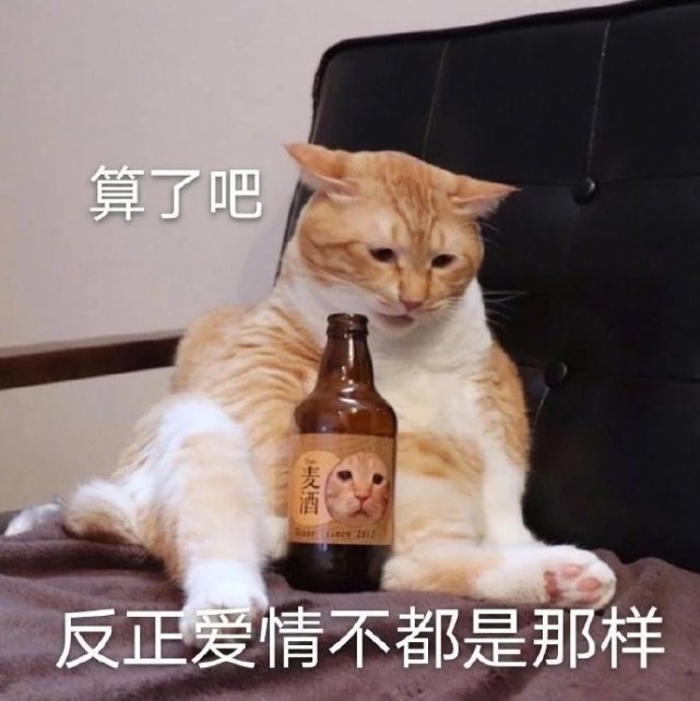 萌宠表情包:看我的撒娇蹭蹭大法!