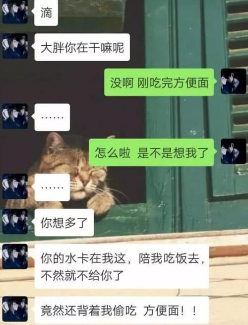 "直男"遇上"直女"的爆笑聊天记录,网友"好像在看情侣双人相声"