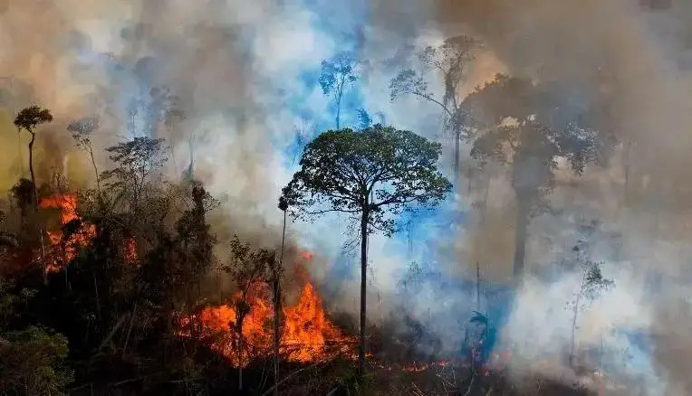 由于气候变化,生物多样性的丧失和环境污染,人类正在使地球成为一个