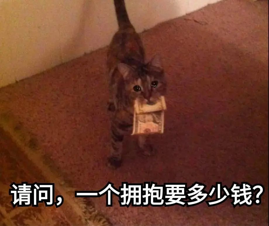 【表情包】请问一个拥抱要多少钱