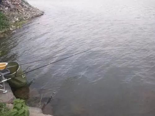 分享几个在流水河钓鱼的技巧