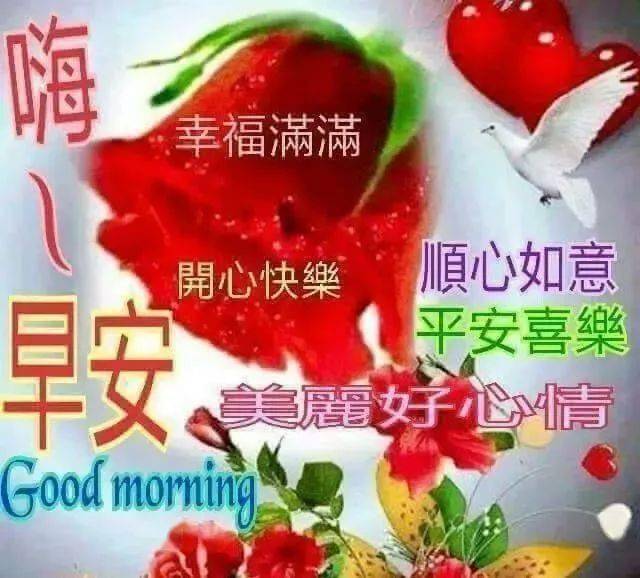 288社区早上好图片,创意早上好图片最新 2月22日问候早上好图片带字动态表情 早上好图片