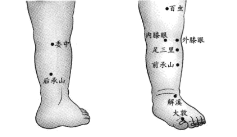 【儿推】捏捏小手百病消:第十集