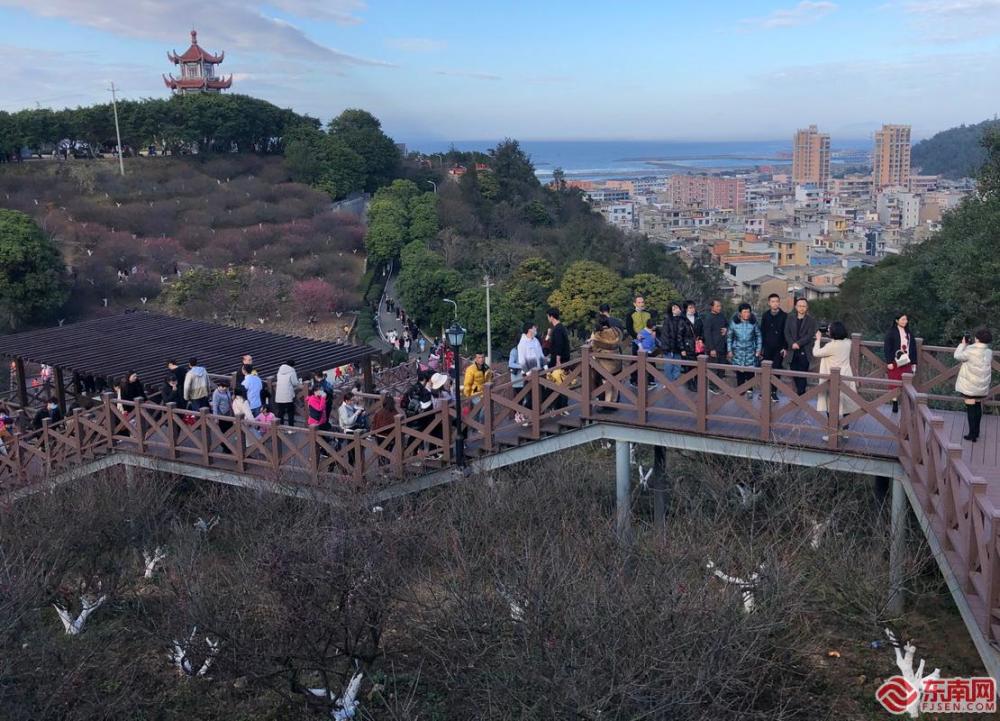 "春节期间,前来福州市长乐区梅花镇将军山公园赏梅的游客络绎不绝.