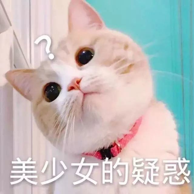 超可爱的猫系表情包