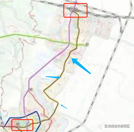 东部新区地铁规划!全线路解读,东部新区轨道交通成网!