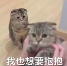 一组哄对象用的抱抱表情包