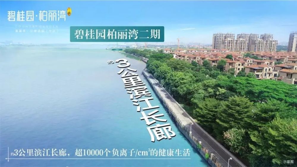 2021年杭州滨江区gdp多少_杭州哪个区最富 哪个区最穷 最新GDP排名,没想到第一名是(3)