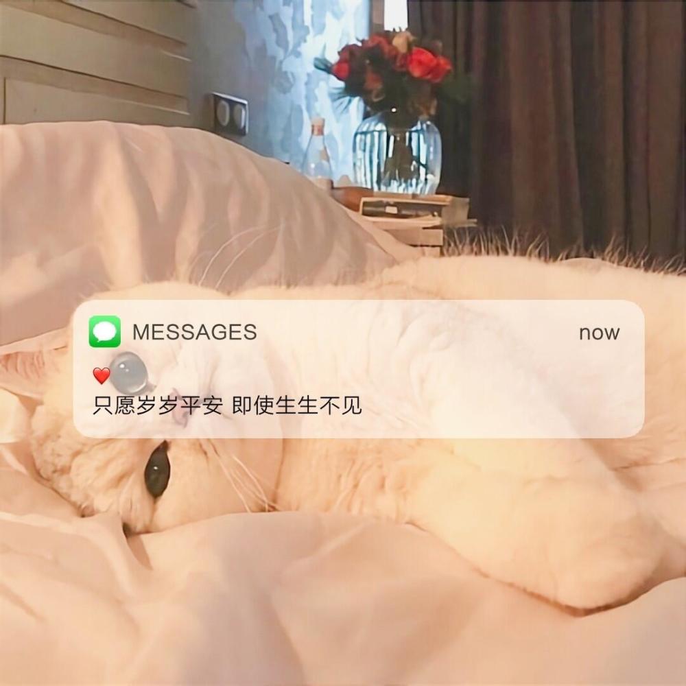 "适合立刻更换的个性签名文案"