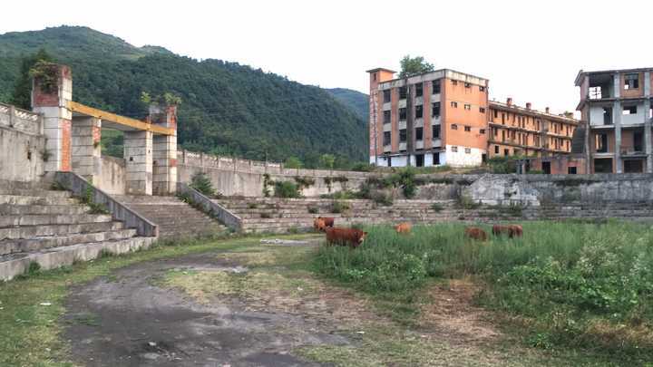 陕西省军工经济总量_陕西省城市经济学校(3)