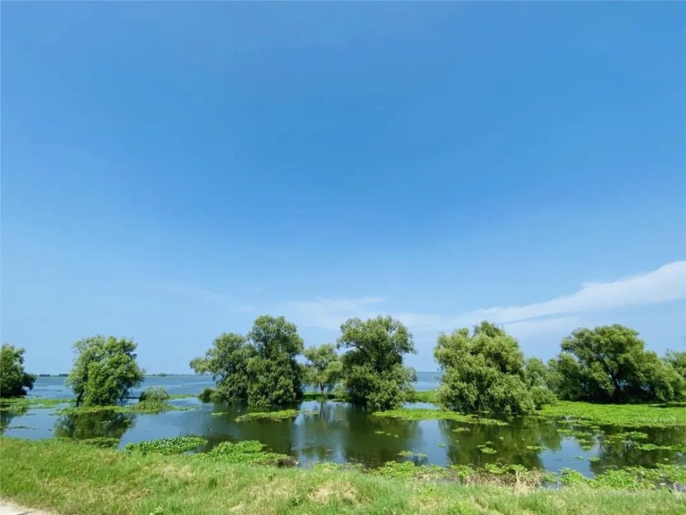 益阳:春和景明,来大通湖观鸥鹭赏湖光,不负好时景