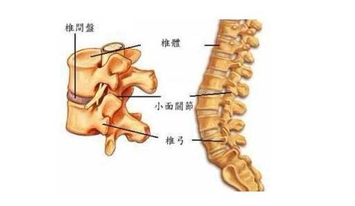 睡硬板床能治好腰间盘突出?