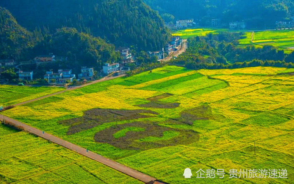 来一场最美遇见,当属看贵州6000余亩油菜花海