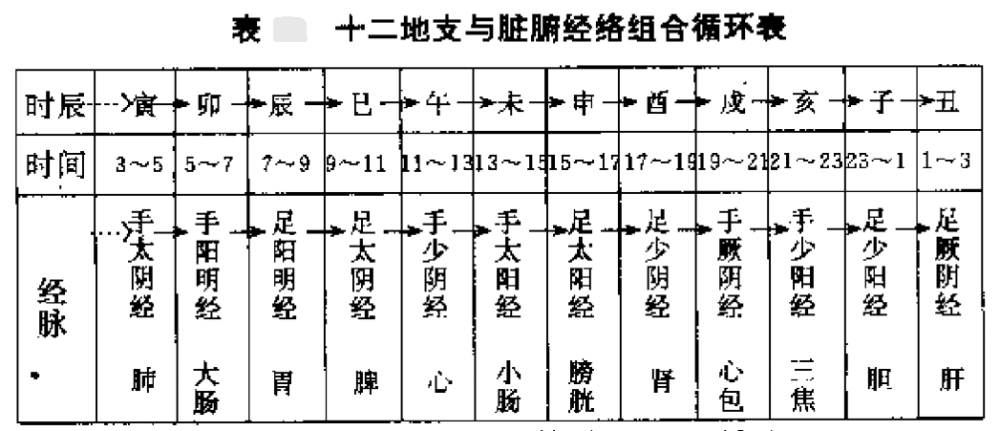 人有十二经,正与十二地支相配,气血按十二经顺序循行是固定不变的,而