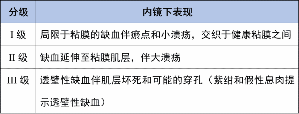 点状出血 粘膜水肿,已破裂 节段性红斑 散发性糜烂 纵行溃疡(结肠单