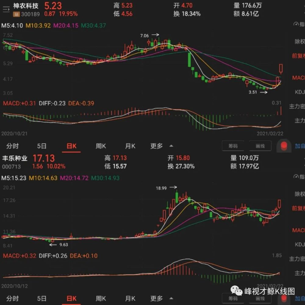 002480 新筑股份 4.90  10.11%