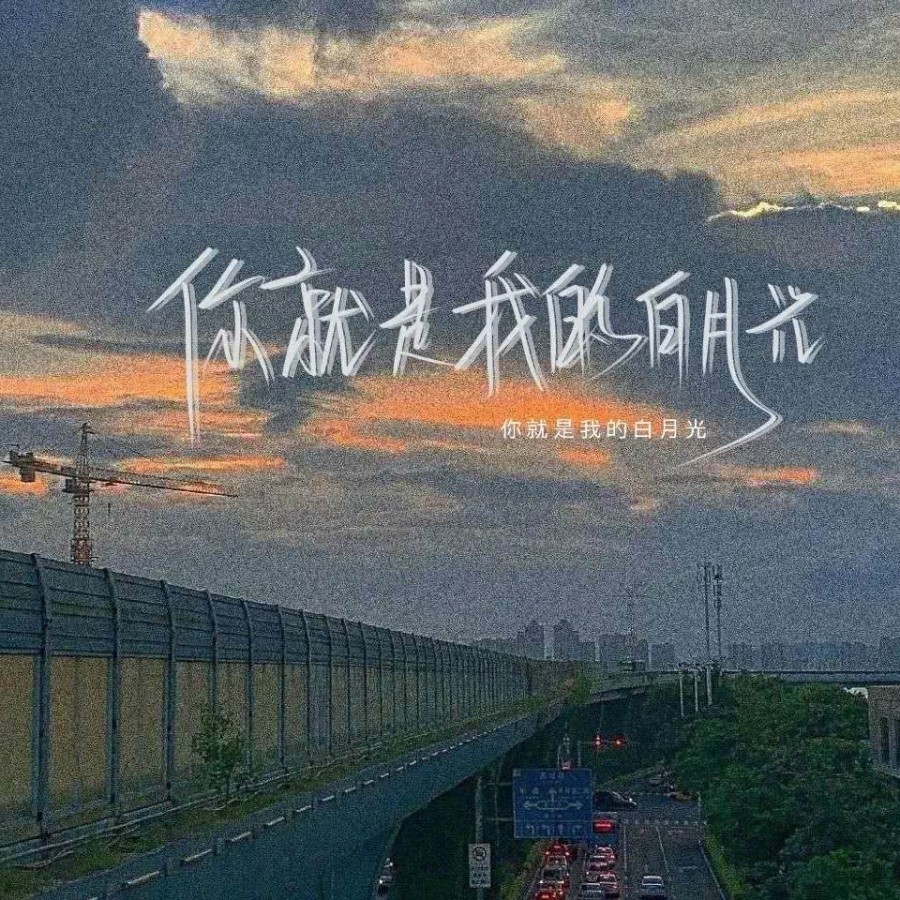 【小说】仰望星空 你是神明 是救赎 更是我无人可触的