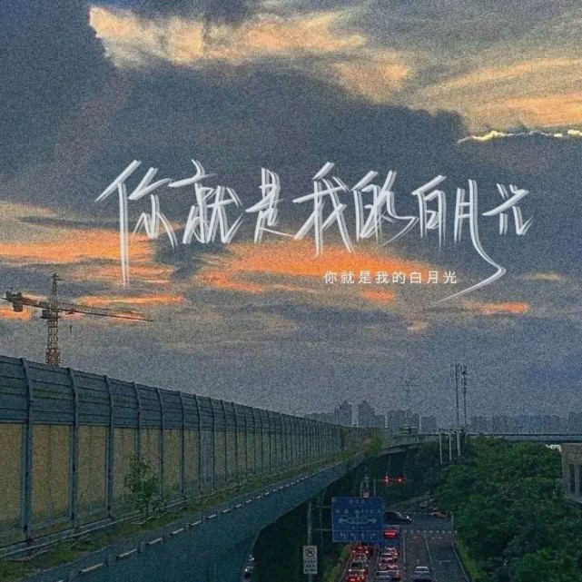 温柔善良,他这一辈子最讨厌的人是一切对寂白有意思或者伤害寂白的人