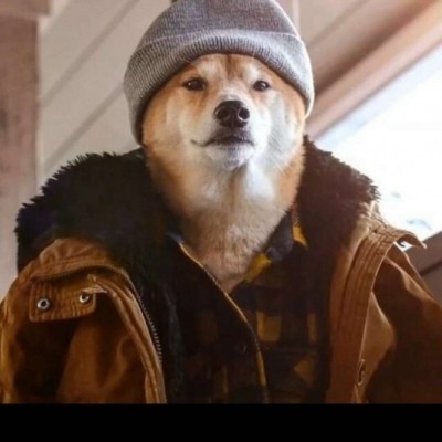 1|憨憨的头像