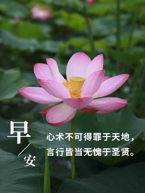 早安心语早安励志 早安正能量句子