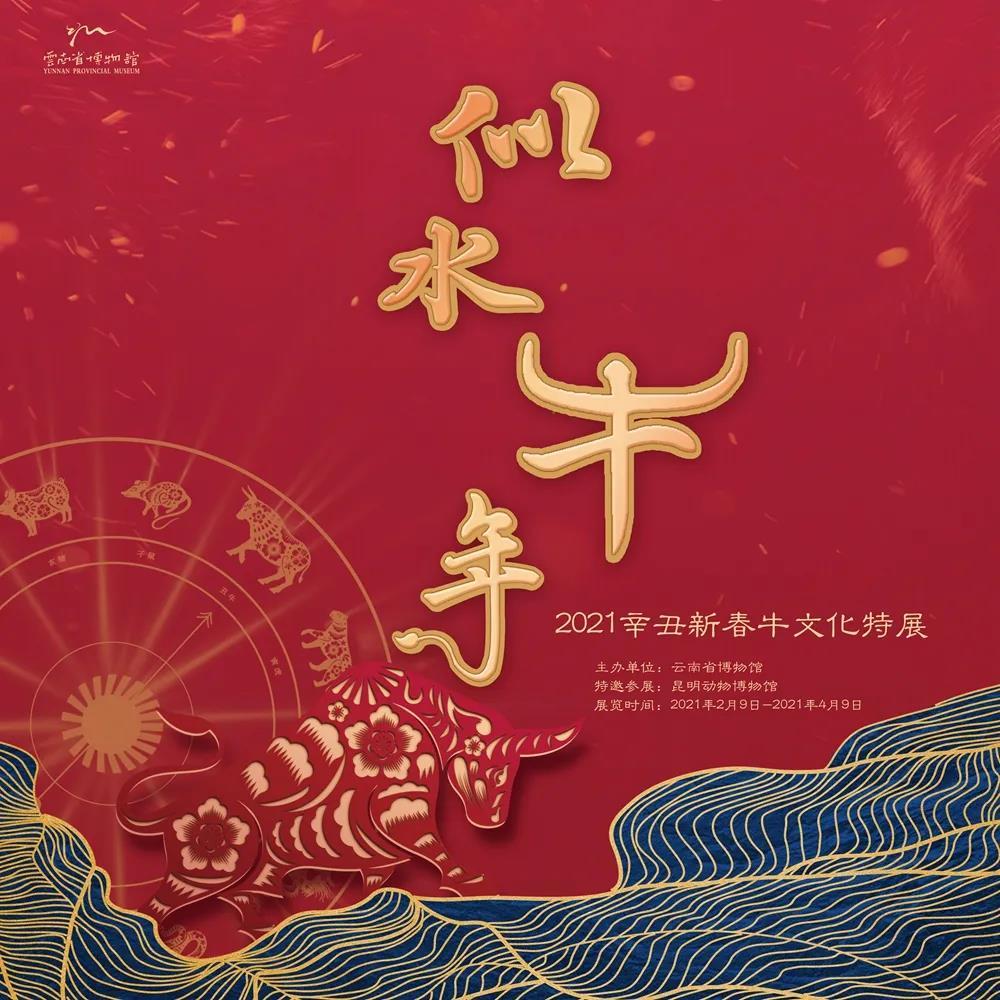 开年荐展|似水"牛"年——2021辛丑新春牛文化特展在滇博展出