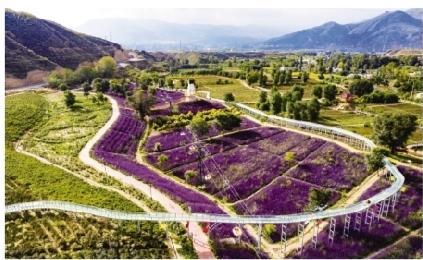 青海海东乐都gdp_我国最年轻的地级市 不是三沙市 你知道是哪个吗