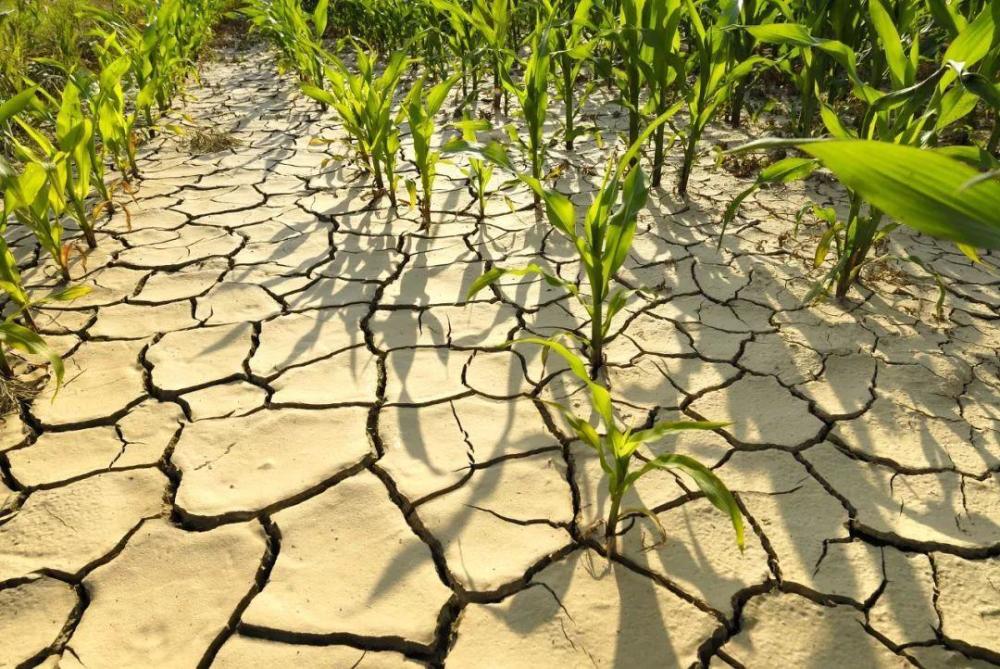 中国最缺水的地方为何不是干旱少雨的大西北而是华北地区