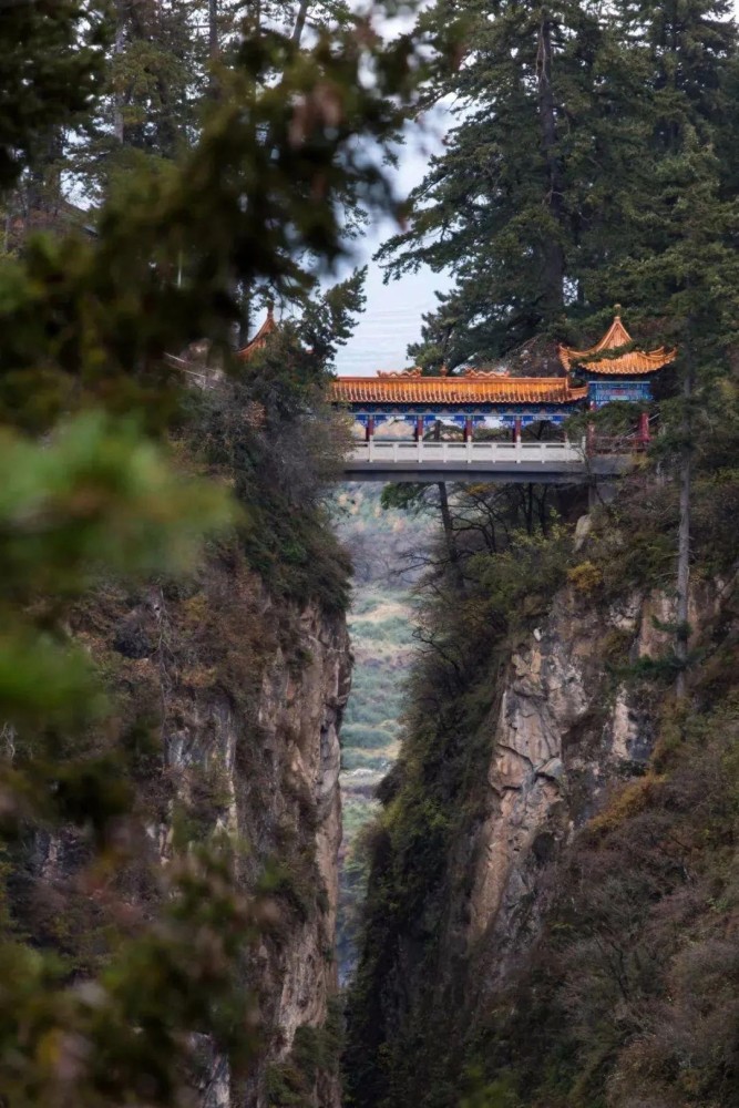 漳县贵清山