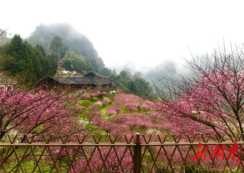 永顺陈家坡村民变形记