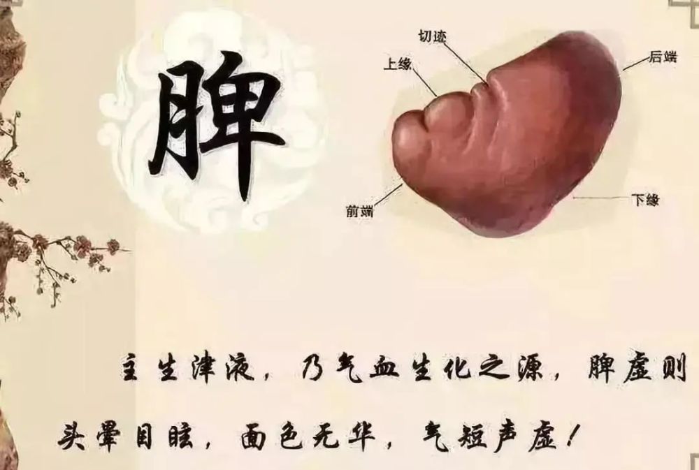 女人的慢性病,都与这条经有关!(女性必看)