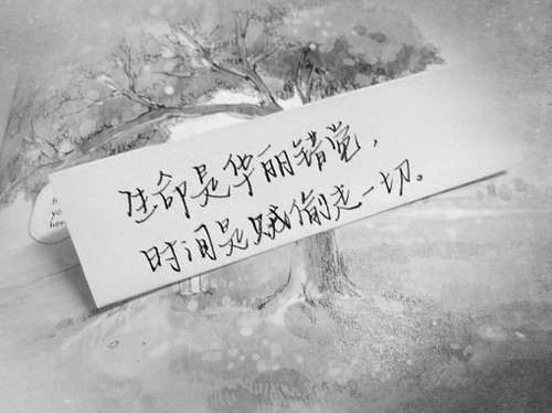 3,青春的岁月,我们都身不由己,如果一切可以重来或许我会笑着离开.