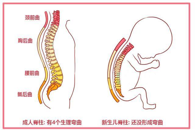 宝宝几个月可以竖抱牢记2个关键3点注意父母省事不伤娃脊柱