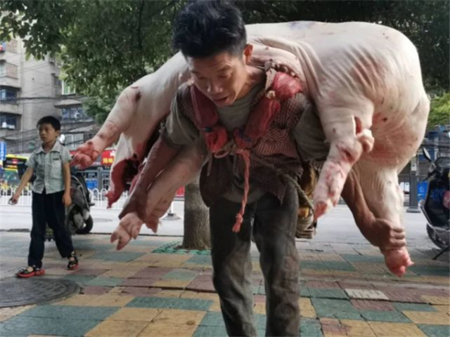 贵阳60公斤的"背肉汉",480斤的猪往身上扛,扛的是生活