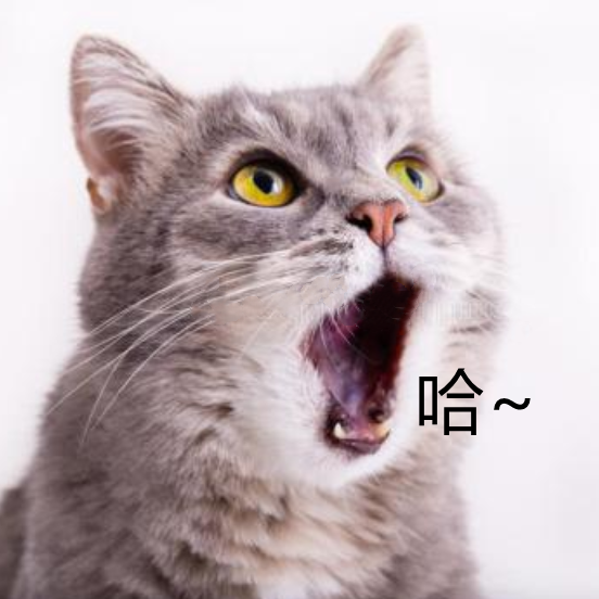 猫界也有"喵千骨,一张嘴"万主哭"