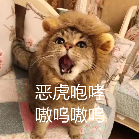 猫界也有"喵千骨,一张嘴"万主哭"