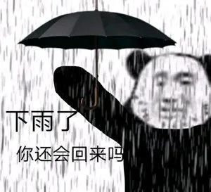 沙雕熊猫头表情包下雨了你还会回来吗