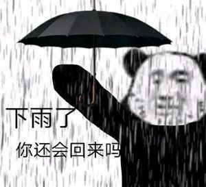 沙雕表情包:下雨了 你还会回来吗?【196期】