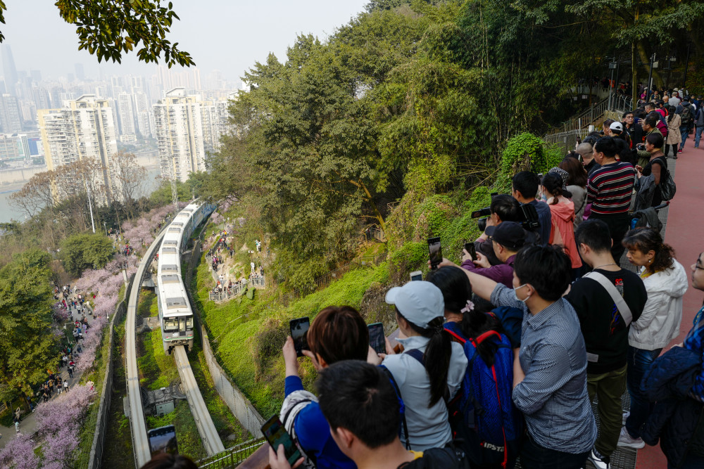 (社会)重庆:一路繁花相送 带你驶向春天