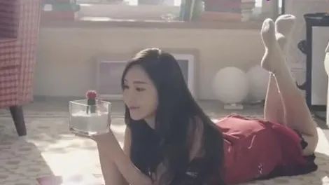 梅花泪古筝简谱_栀子花开