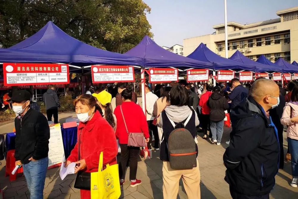 蔡甸招聘_直击蔡甸街专场招聘会现场 岗位多,备受欢迎(2)