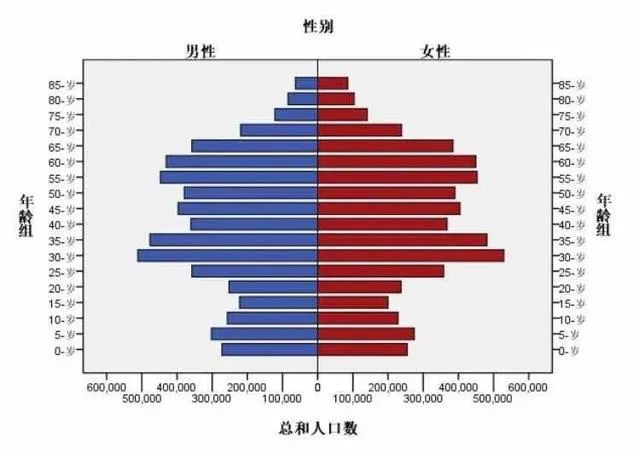 人口结构2019_人口年龄结构金字塔图(3)