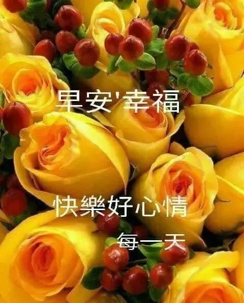 清晨的第一声问候,送给我在乎的你!