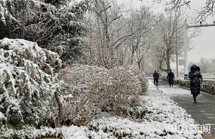 城阳区春雪如约而至点缀城市银装素裹