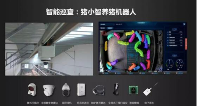 华为"自救",推出智慧养猪方案
