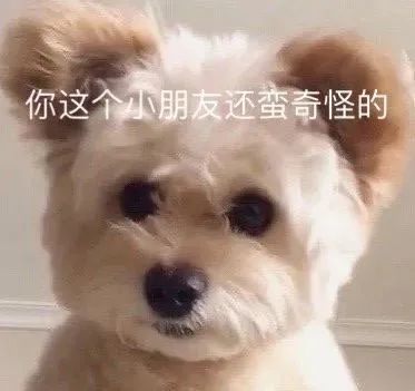 可爱表情包|委屈巴巴