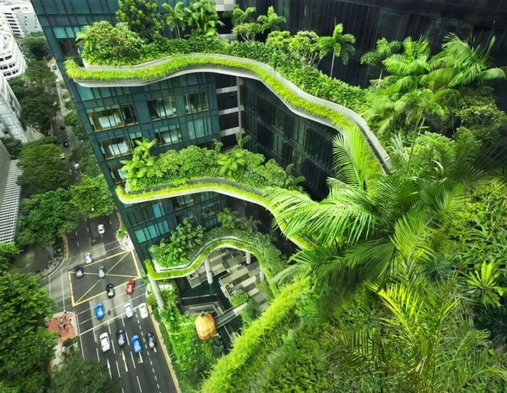 上海市住建委印发通知:加强绿色建筑设计管理工作