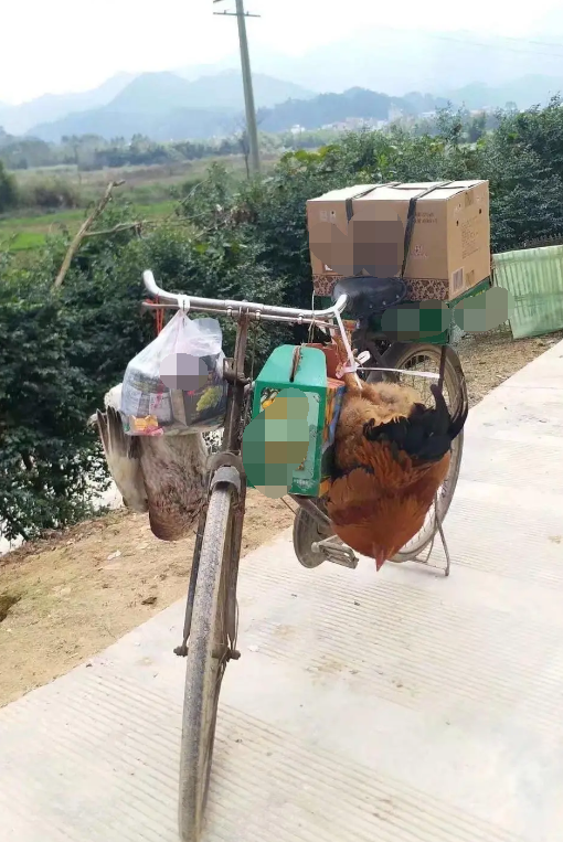 我感觉应该是为了拍小视频而专门摆设的,在骑自行车走亲戚的那个年代