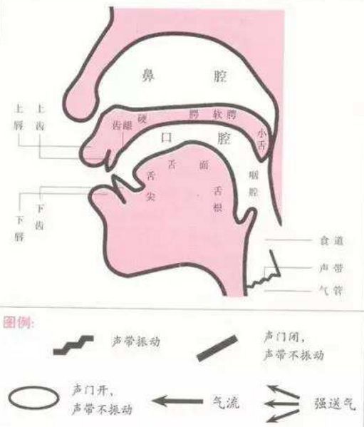 发音训练方法 腾讯网