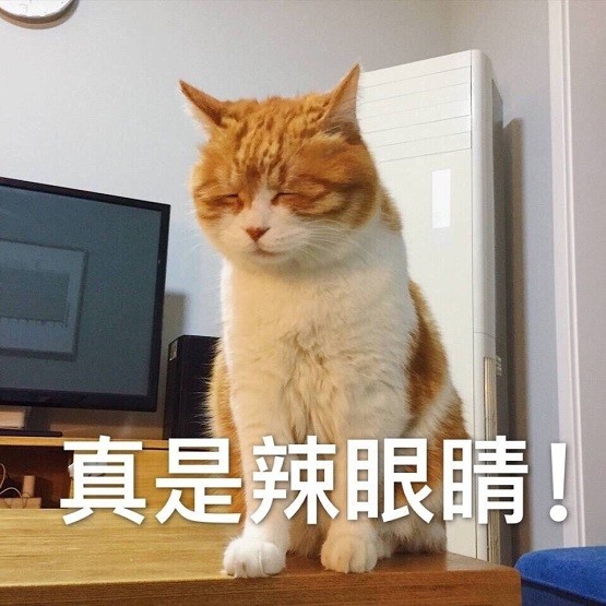 男子出门忘了喂狗,结果二哈居然对仙人掌下了嘴,网友:这下完了
