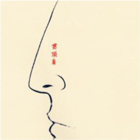 看上去很有气势,在相学中这种鼻梁也称"贯顶鼻"或"伏犀鼻"